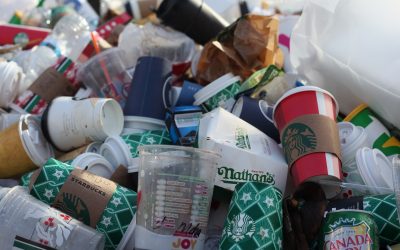 Recycling: Nachhaltigkeit schlägt Konsumismus: „Darf’s noch etwas günstiger sein, bitte?“