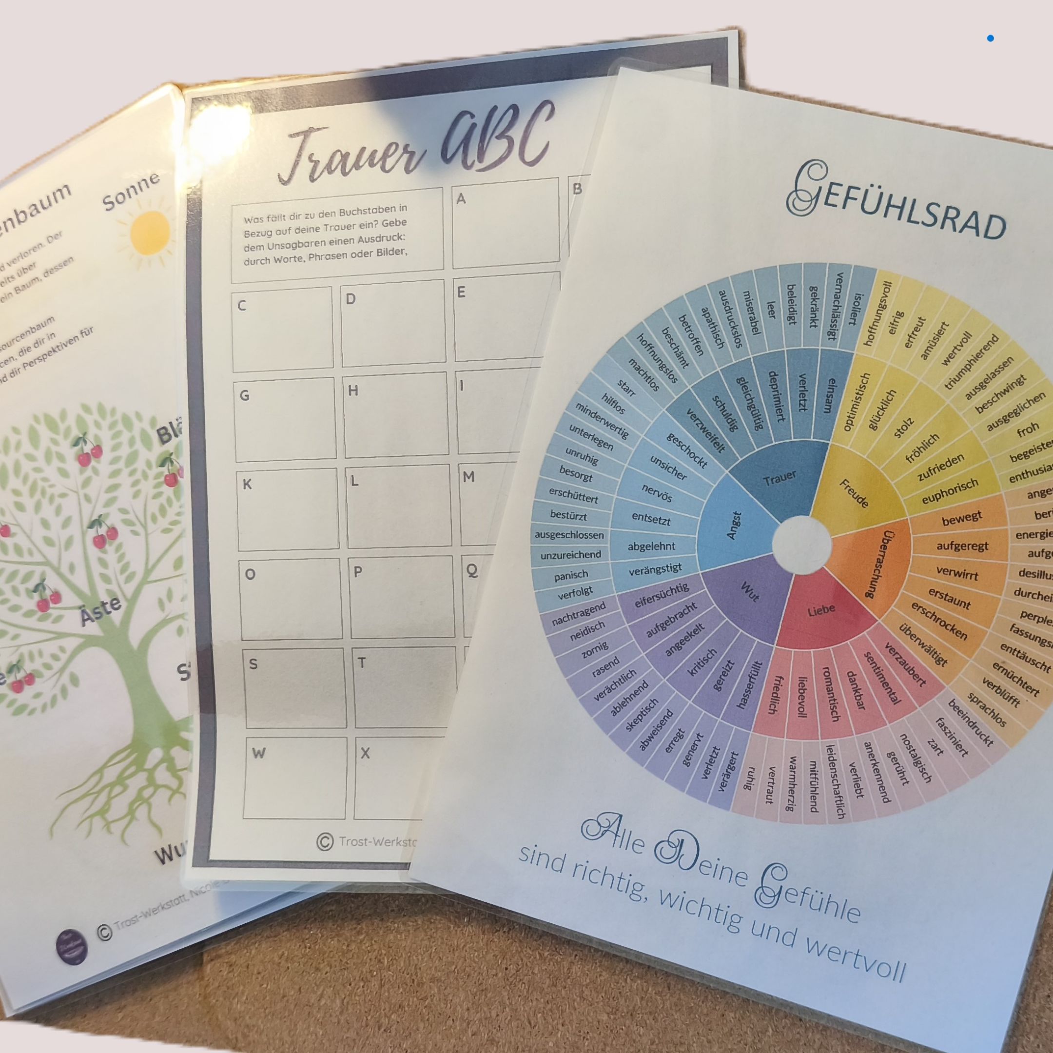 Gefühlsrad, Trauer ABC